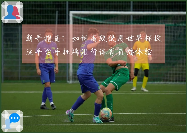 新手指南：如何高效使用世界杯投注平台手机端进行体育直播体验