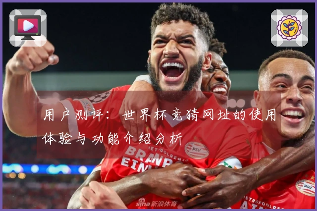 用户测评：世界杯竞猜网址的使用体验与功能介绍分析