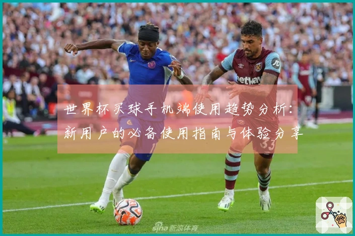 世界杯买球手机端使用趋势分析：新用户的必备使用指南与体验分享