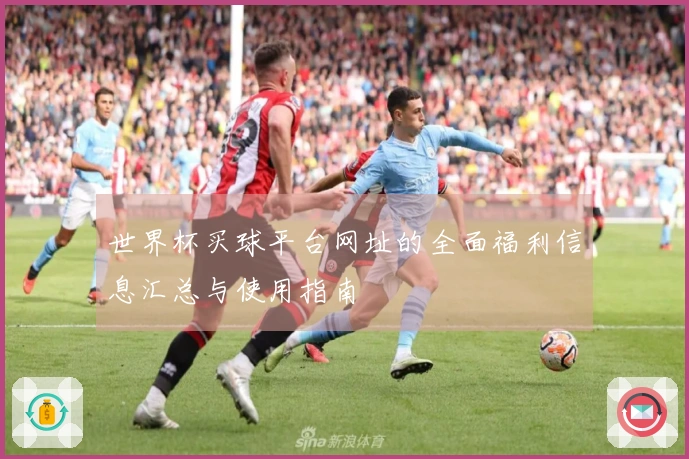 世界杯买球平台网址的全面福利信息汇总与使用指南