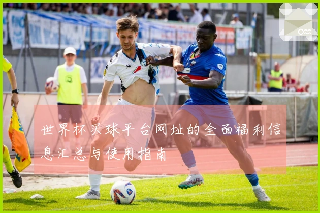 世界杯买球平台网址的全面福利信息汇总与使用指南