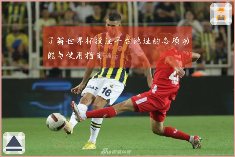 了解世界杯投注平台地址的各项功能与使用指南