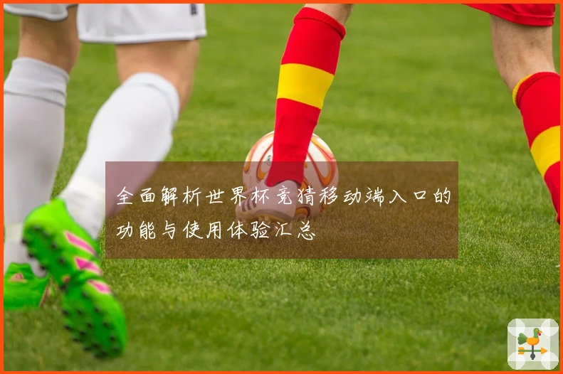 全面解析世界杯竞猜移动端入口的功能与使用体验汇总