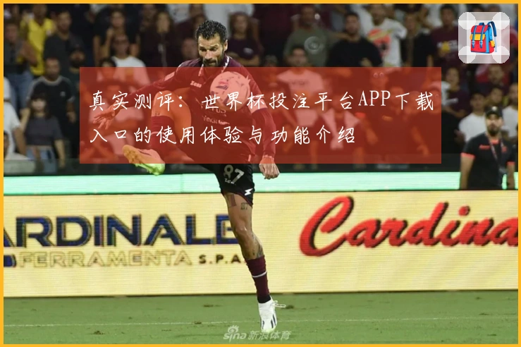 真实测评：世界杯投注平台APP下载入口的使用体验与功能介绍