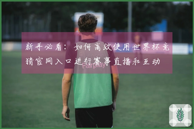 新手必看：如何高效使用世界杯竞猜官网入口进行赛事直播和互动