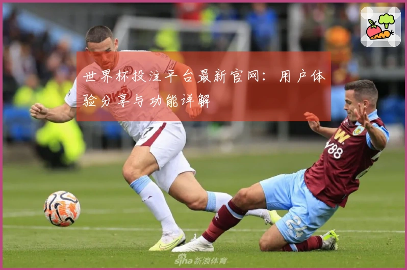 世界杯投注平台最新官网：用户体验分享与功能详解