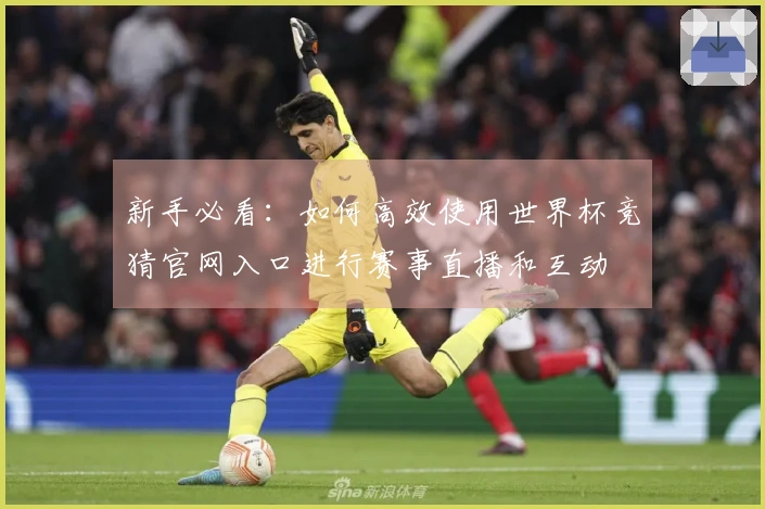 新手必看:如何高效使用世界杯竞猜官网入口进行赛事直播和互动