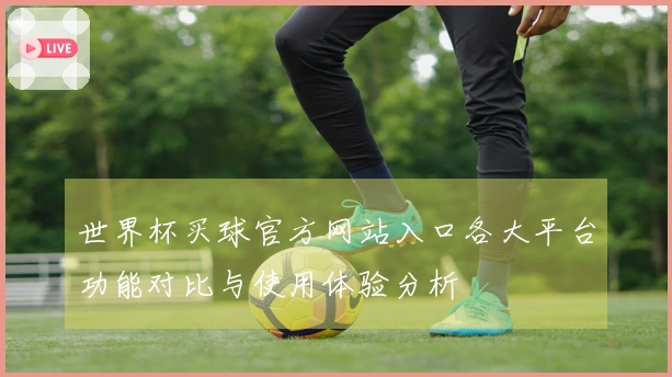 世界杯买球官方网站入口各大平台功能对比与使用体验分析