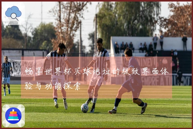 畅享世界杯买球地址的极致界面体验与功能探索