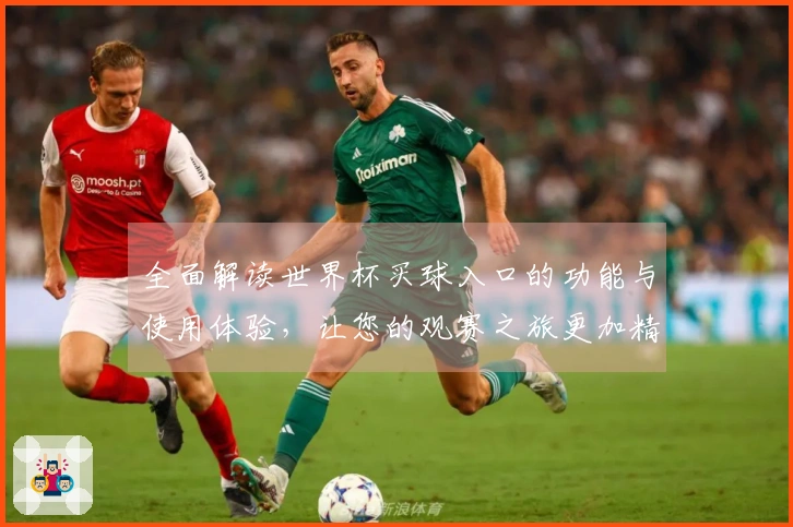 全面解读世界杯买球入口的功能与使用体验，让您的观赛之旅更加精彩