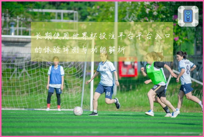 长期使用世界杯投注平台平台入口的体验评测与功能解析
